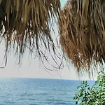Alex Apartman