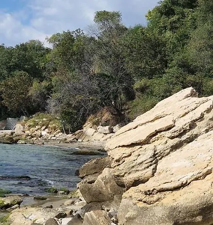 Alex Apartment Sveti Vlas