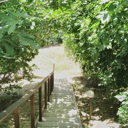 Alex Apartment Sveti Vlas