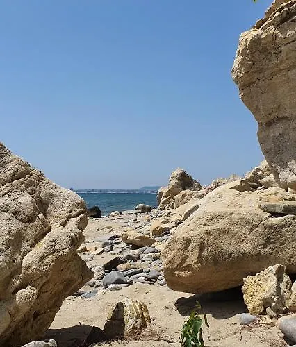 Alex סבטי ולאס