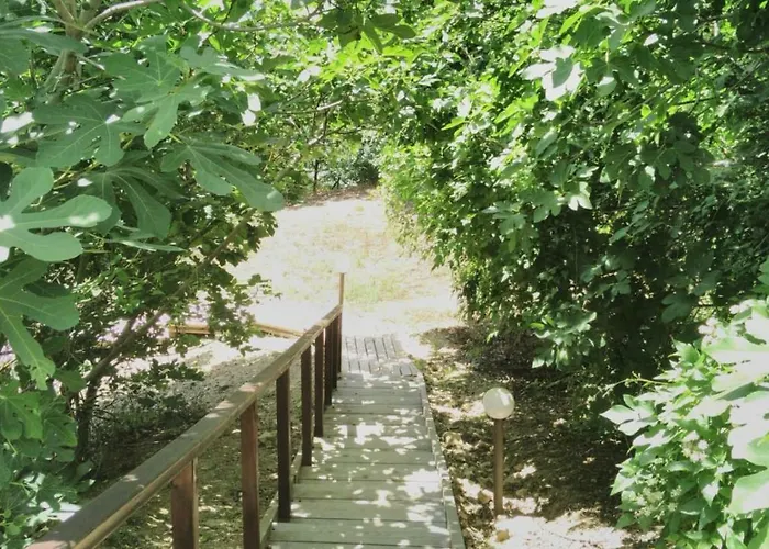 Alex Apartment Sveti Vlas